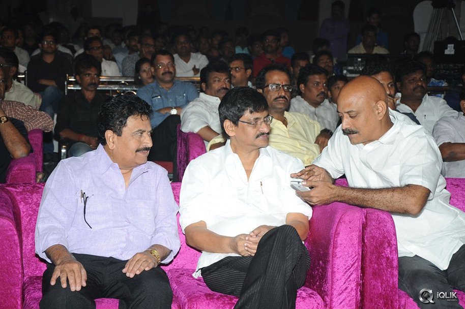 Hora-Hori-Movie-Audio-Launch